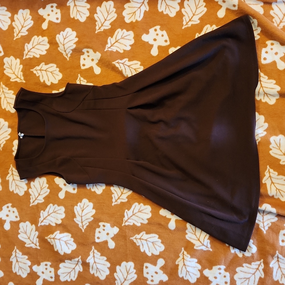 Stretchy Brown Dress